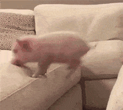 忽略這點，自動售貨機收益少七成！(圖2)